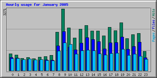 Hourly usage for January 2005